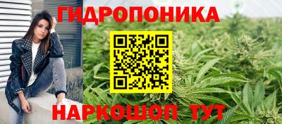 скорость Новозыбков
