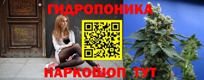 мяу мяу мука Новокубанск