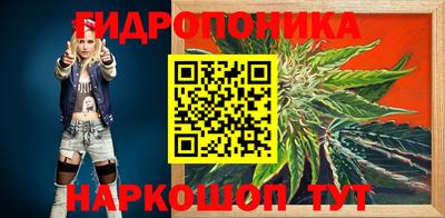 скорость Новозыбков
