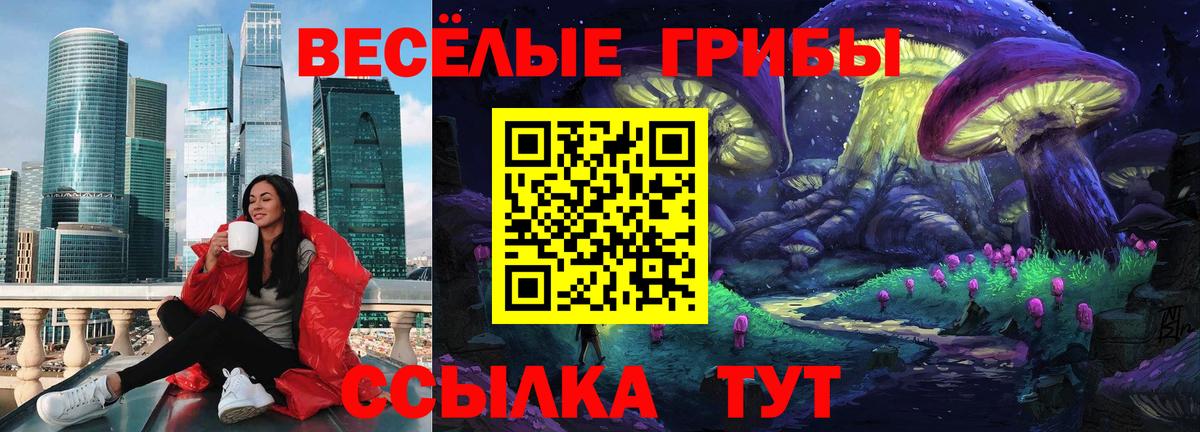 Галлюциногенные грибы Magic Shrooms Ступино