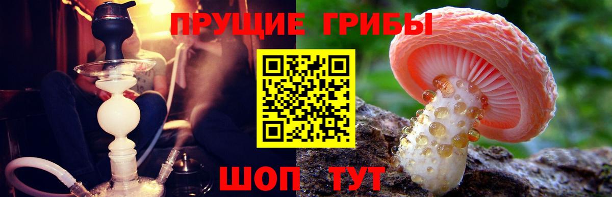 Галлюциногенные грибы Psilocybine cubensis  Галлюциногенные грибы GOLDEN TEACHER  Вход с VPN  Ступино 